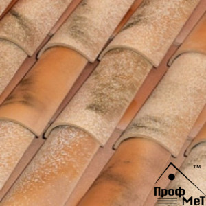 Tejas Borja Монах-монашка Lamalou