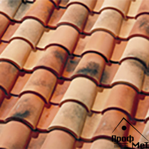 Tejas Borja TB-4 Quattro Nature Villaterra